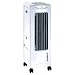 Sunpentown Portable Air Cooler with Ionizer - White (SF610)