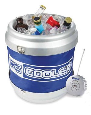 remote control cooler price