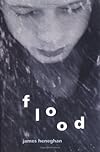 Flood