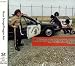 Search : Buzz Songs
