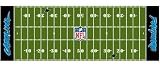 NFL Carolina Panthers 72-Inch-by-24-Inch Field Runner Rug