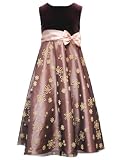 Rare Editions Girls PLUS Size BROWN GOLD CAVIAR BEADED VELVET MESH OVERLAY Special Occasion Wedding Flower Girl Christmas Holiday Party Dress