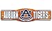 WinCraft NCAA Auburn University 89320010 Street/Zone Sign, 4.5