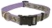 Lazer Brite Adjustable Collar - 5/8 in. in Black Zig Zag