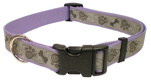 LAZER BRITE ADJ REFLECT COLLAR SM 5 8