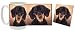 dachshund22 - Dachshund Mug Coaster Gift Box Combo DogPuppyCanine Edition