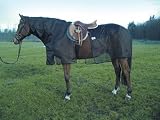 Cashel Quiet Ride 2-Piece Bug Armor