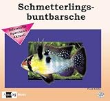 Schmetterlingsbuntbarsche - Frank Sch&auml;fer