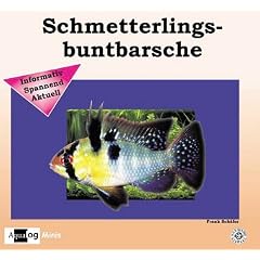 Schmetterlingsbuntbarsche