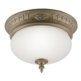 Flush Mounted Light Fixtures