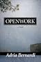 Openwork: A Novel