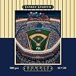 Yankee Stadium 500pc 16x20 Jigsaw Puzzle by Eric Dowdle