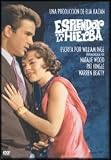 Esplendor En La Hierba(1961) Splendor In The Grass