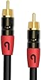 PlugLug- Dual Shielded Subwoofer Audio RCA Cable with Gold plated connectors - 10 Feet.
