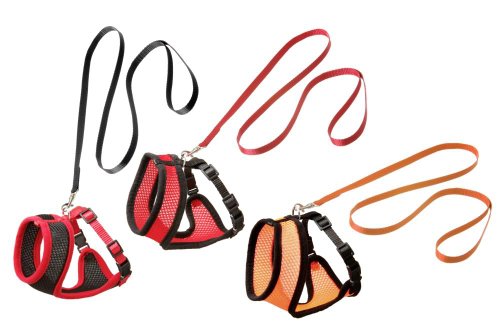 Karlie 28329 Katzengarnitur XXL Harms orange/schwarz 15 mm 120 cm