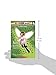 Amy: The Amethyst Fairy (Rainbow Magic: The Jewel Fairies, No. 5)