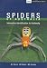 Spiders of Australia: Interactive Identification to Subfamilies