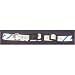 Detroit Lions Dog Collar