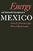 Energy and Sustainable Development in Mexico (Texas A&M University Economics Series)
