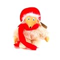 Orinoco Womble 8 inch