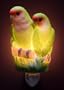 Tropical Lovebirds Night Light - Ibis & Orchid Designs