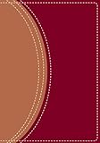 NIV Study Bible (New International Version)