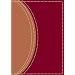 Zondervan NIV Compact Study Bible, Burgundy/Tan