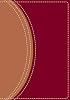 Zondervan NIV Study Bible, Compact