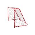 54" Steel Goal with Hood & Back Bars