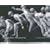 Etienne-Jules Marey: A Passion for the Trace