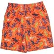 Boys Geckoes Printed Swim Trunks