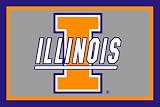 Illinois Fighting Illini ( University Of ) NCAA 3x5 Area Rug