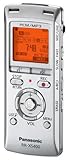 Panasonic RR-XS400 2 GB Personal IC Digital Voice Recorder Silver