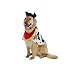 DOG Toy Story Woody Costume for your PET - Official Trademark Costume