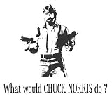 What would CHUCK NORRIS do ? T-Shirt weiss