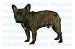 FRENCH BULLDOG - Dog Decal - sticker got bull window