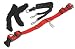 Pet Supplies : Sporn Halter Red Medium