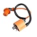 Atv Scooter Utv Dirt Bike Go Kart High Performance Racing Ignition Coil 110cc 150cc 200cc 250cc 300cc New