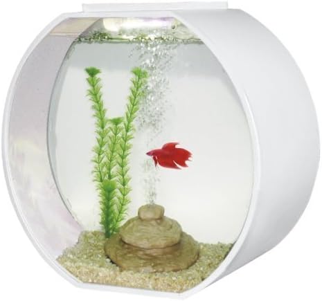 AA Deco O Aquarium, White by AA Aquarium Inc.