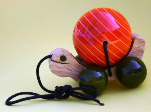 Childrens Toyshop  Toys : Tuttu Turtle Pullalong - Orange
