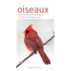 Oiseaux d'Europe