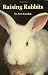 Raising Rabbits the Modern Way