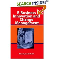 E-Business Innovation and Change Management (Taschenbuch)