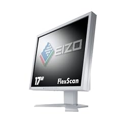 Eizo S1721SH-GY 43,2 cm (17 Zoll) TFT Monitor, DVI / analog, grau (Kontrast 1500:1, 25 ms Reaktionszeit)