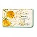 Aubrey Organics - Evening Primrose & Lavender Skin Care Bar, 3.6 oz bar