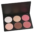 Coastal Scents Contour and Blush Palette