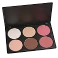 Coastal Scents Contour and Blush Palette