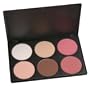 Coastal Scents Contour and Blush Palette