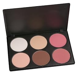 Coastal Scents Contour and Blush Palette