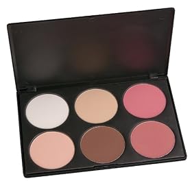 Coastal Scents Contour and Blush Palette